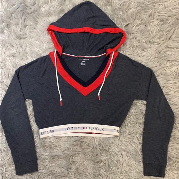 Small Tommy Hilfiger cropped hoodie - Picture 1 of 4